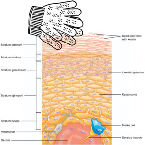 How to Prep for a Spray Tan | SunFX Pre-Tan Guide